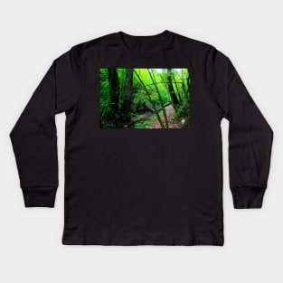 Scenery from Sarnano with the path to Cascata del Pellegrino with river, rocks, tree, trunks, greenery Kids Long Sleeve T-Shirt